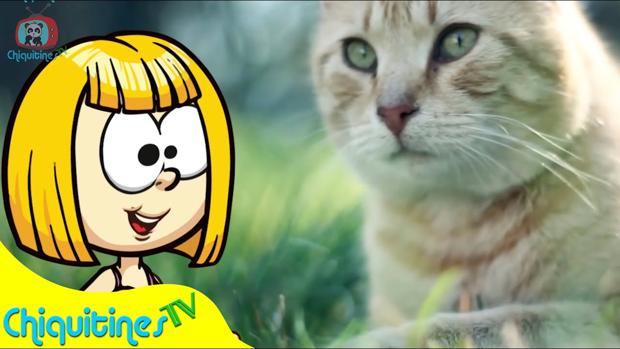 Escuchemos a lo animales - Aprende el sonido de los animales