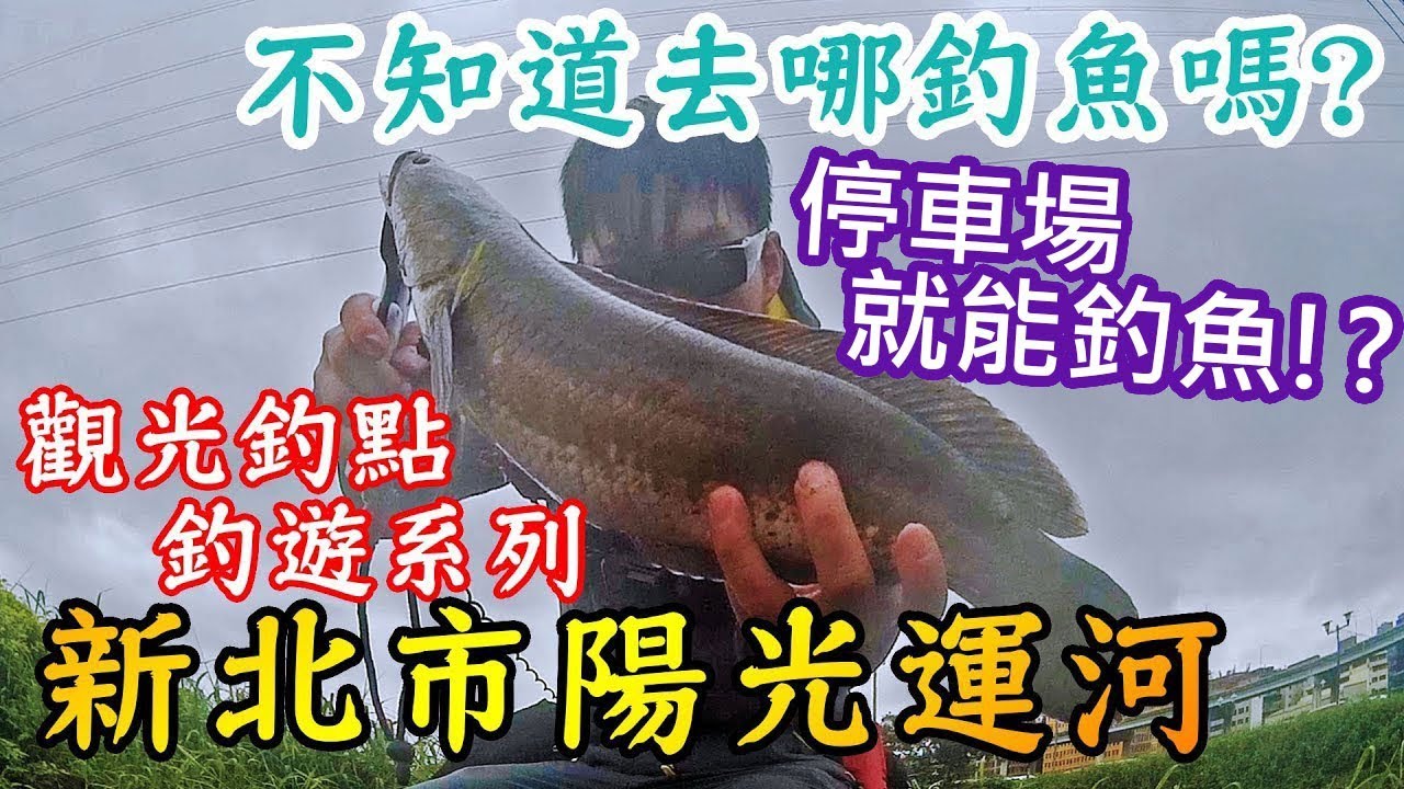 【路亞】停車場就能釣魚!?  #觀光釣點系列-陽光運河  |都市釣魚|泰國鱧|新北市|三重