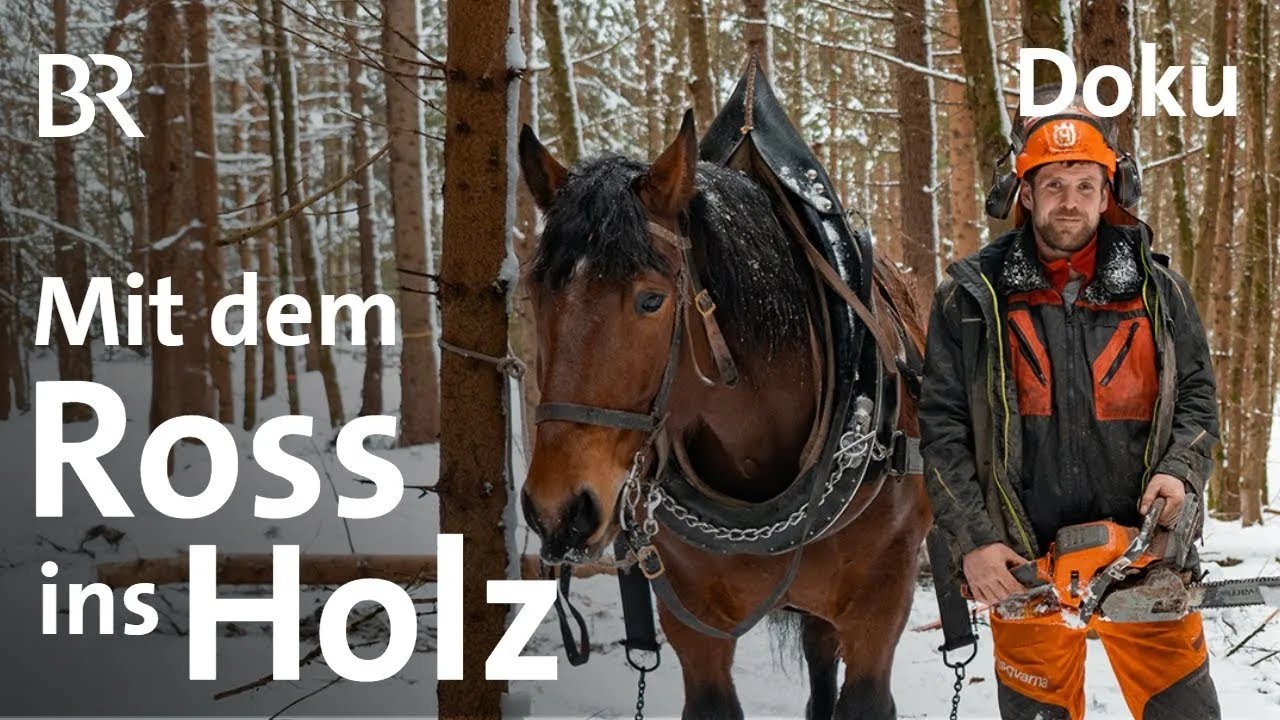 Ein Jahr mit Bäne | Doku 1/6 | Mit dem Ross ins Holz | Alpe | Bergmenschen | BR | Landwirtschaft