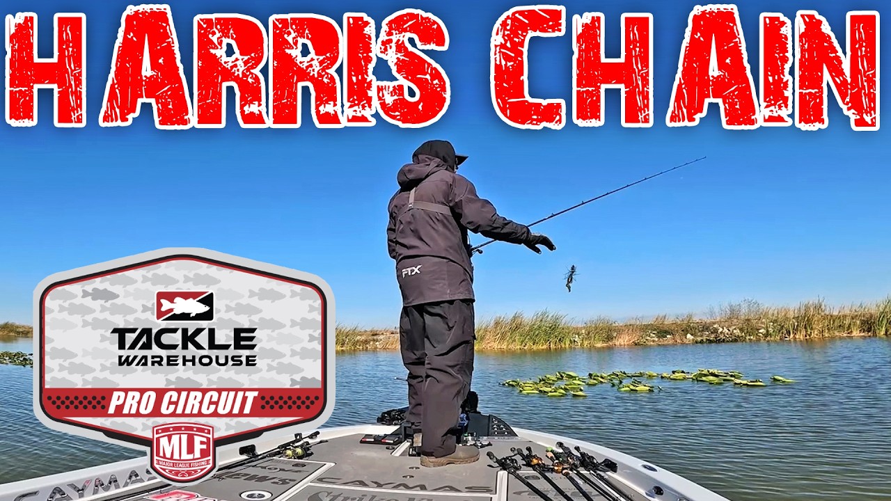 MLF PRO Circuit on the Harris Chain! Practice Day 1 & Travel to Fishermans Cove RV Resort!