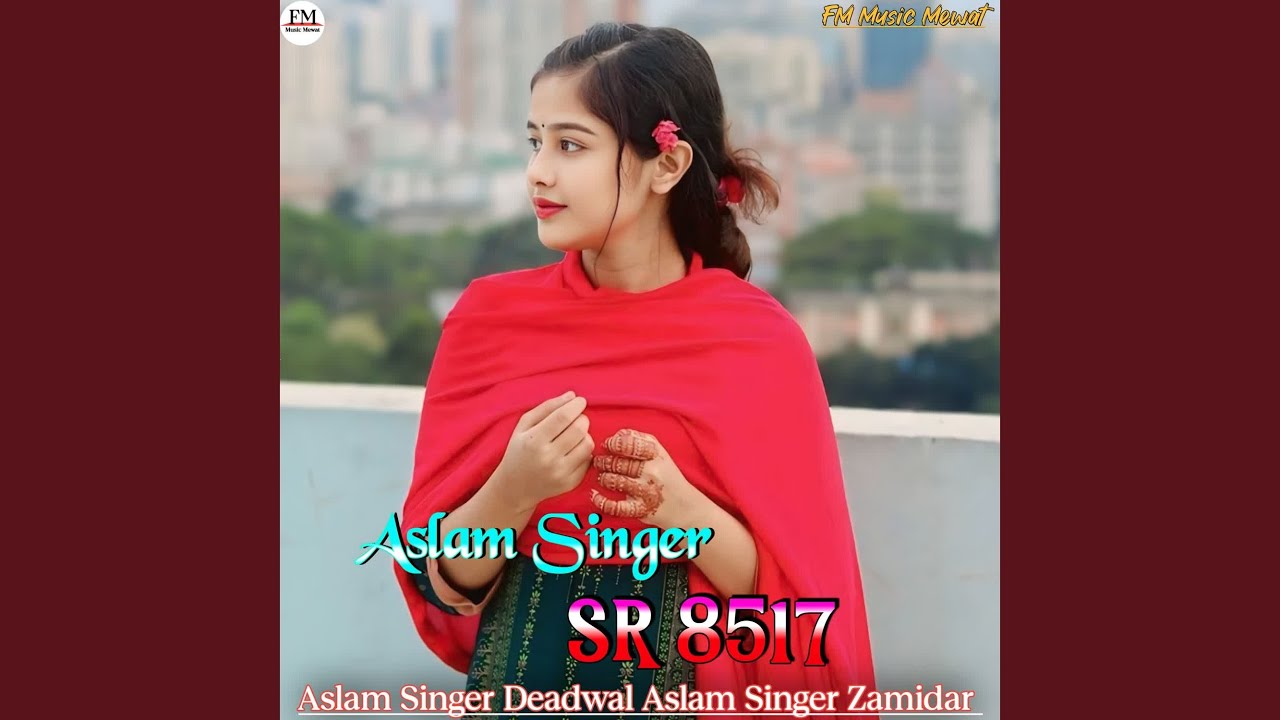 Aslam Singer SR 8517