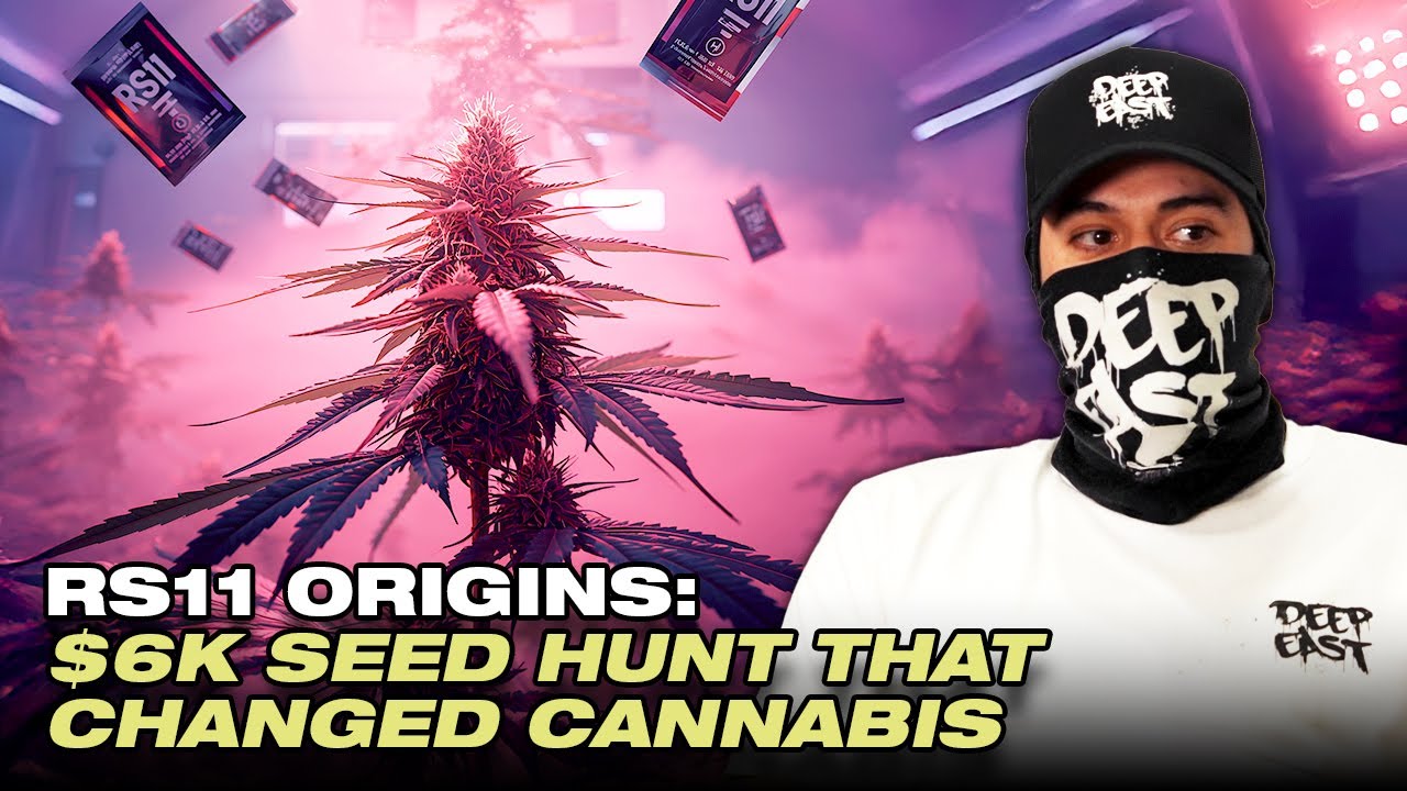 How RS11 Was Really Created and the Story Behind the Legendary Strain