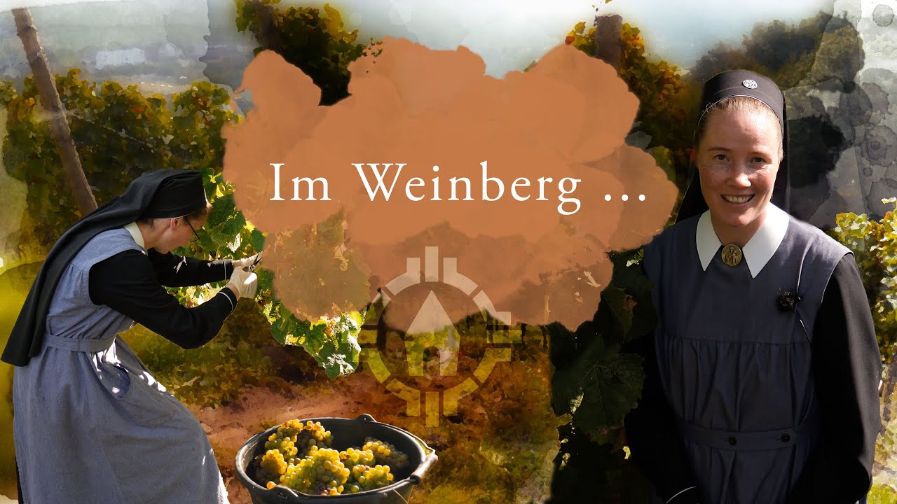 Im Weinberg