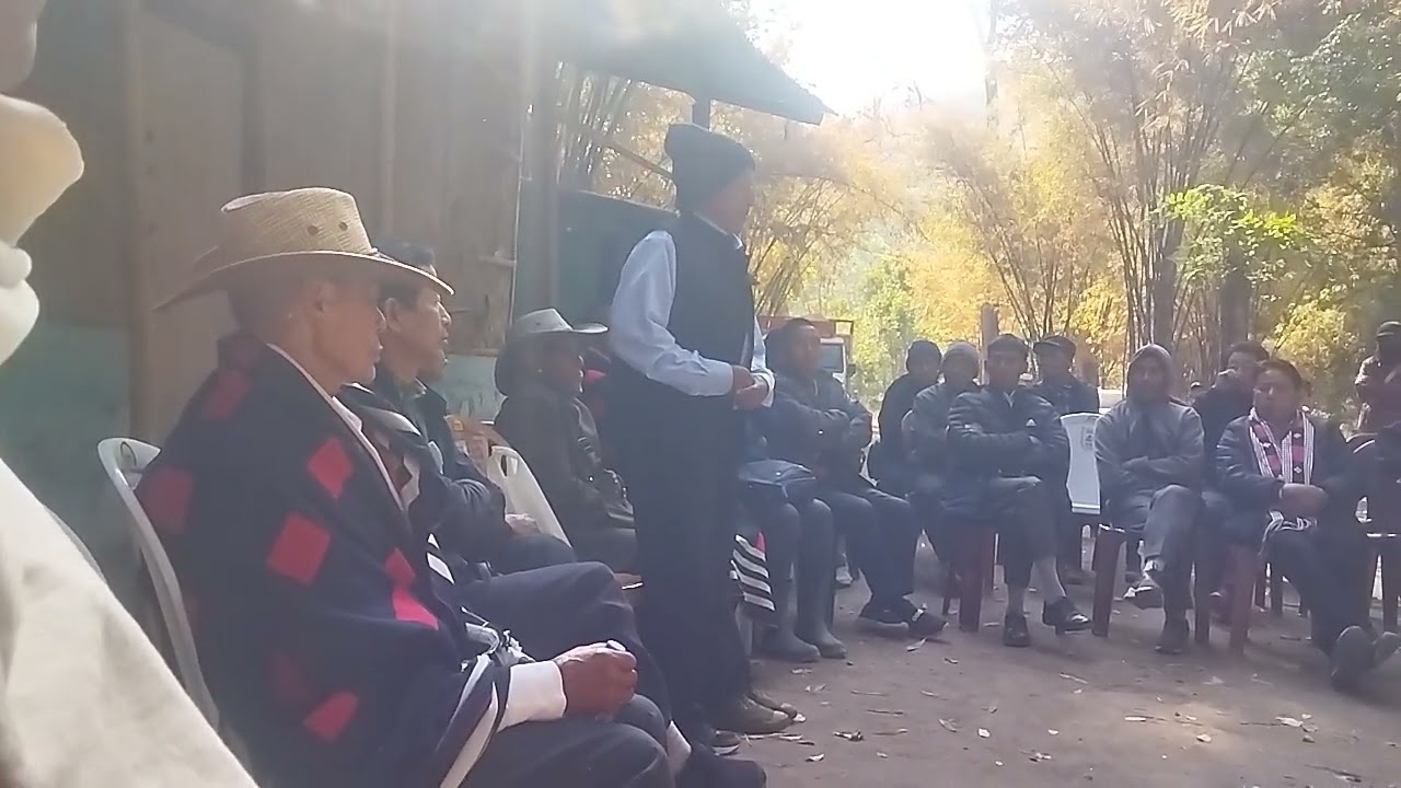 Y. Shitolen Jong 30/01/26 Tizü