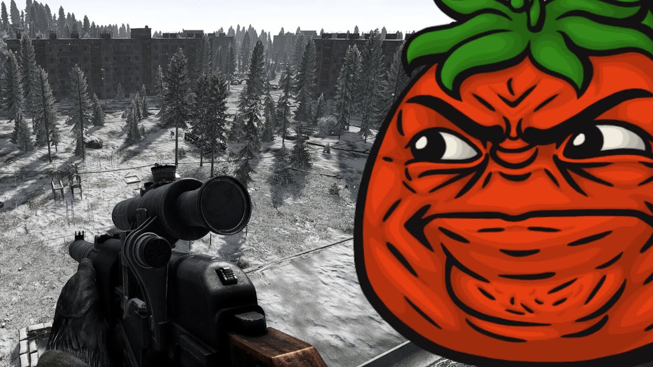 Going on a walk but every couple minutes some jerk with a 9mm pistol blasts me (Road to Vostok)
