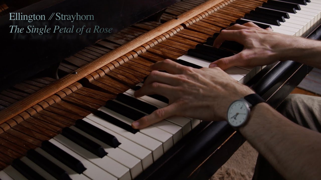 Ellington / Strayhorn — The Single Petal of a Rose — Timo Andres