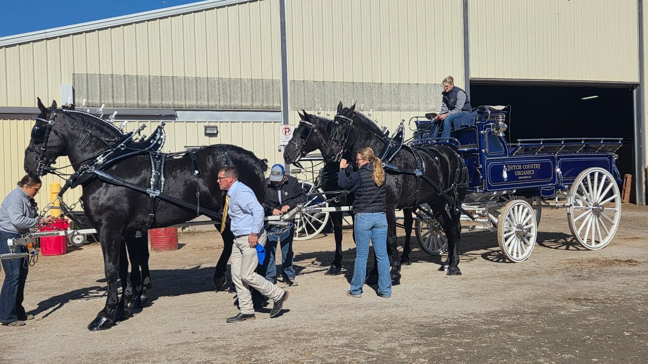 Triple Crown Draft Classic, Ancaster,24-26th October 2025