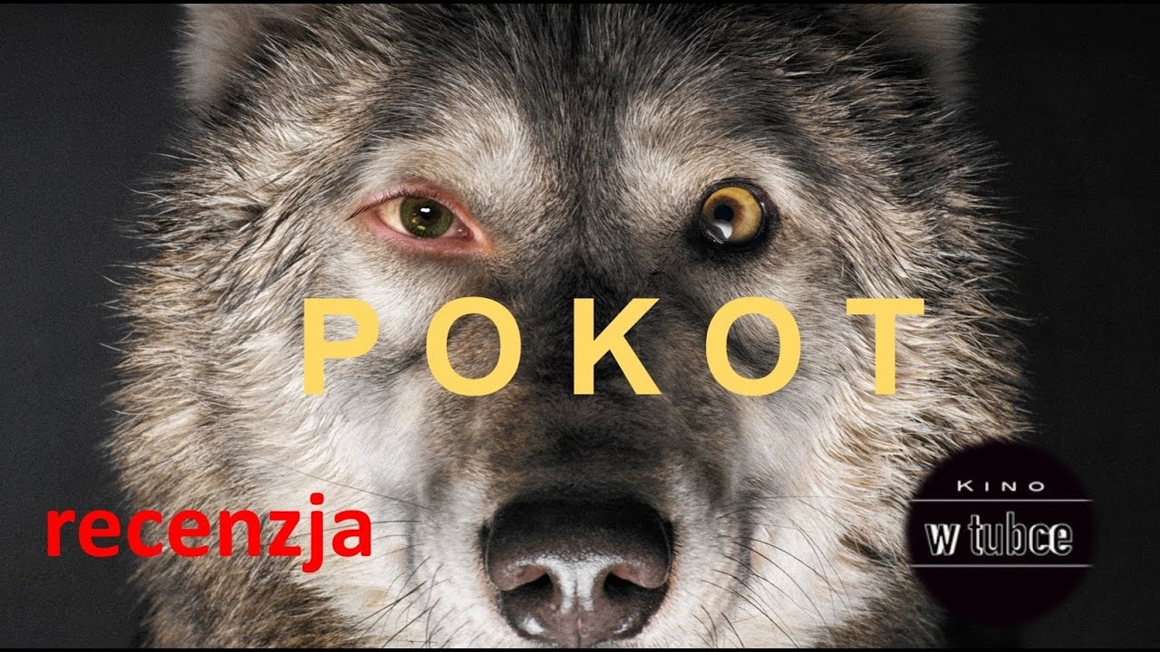 Kino w tubce#33 - Pokot - Ekologia i moralny niepok&oacute;j - recenzja