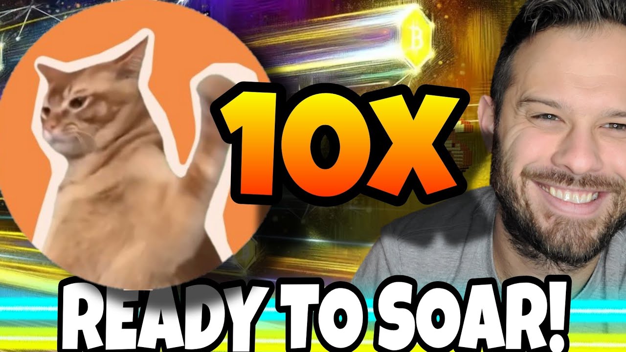 Elon Musk Might Be Starting The Meme Coin Rally And CatSlap Could See 10x Gains!