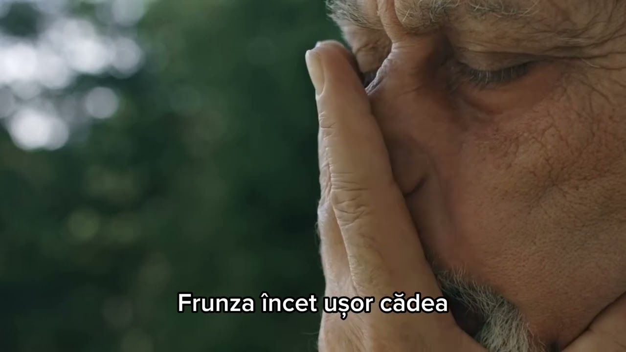 🎵 MIX Music 🎵 - TATA | Official 2026