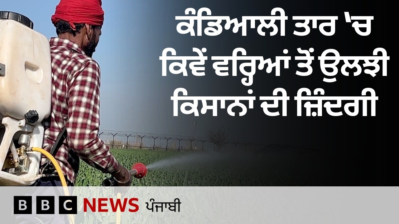 Punjab ਦੇ ਕਿਸਾਨਾਂ ਨੂੰ ਤਾਰੋਂ ਪਾਰ ਵਾਲੀ ਜ਼ਮੀਨ ਕਰਕੇ ਹੋਣ ਵਾਲੀਆਂ ਦਿੱਕਤਾਂ ਬਾਰੇ ਕੀ ਕਰ ਰਹੀ ਸਰਕਾਰ |𝐁𝐁𝐂 𝐏𝐔𝐍𝐉𝐀𝐁𝐈