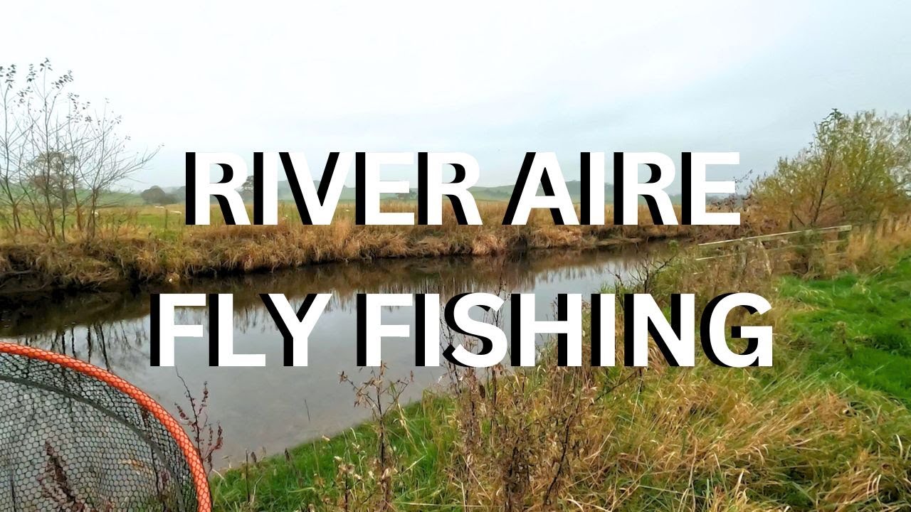 Ep 49 - Fly Fishing Two Clear Rivers, Large Fish Spotted | Tuesday 5th November