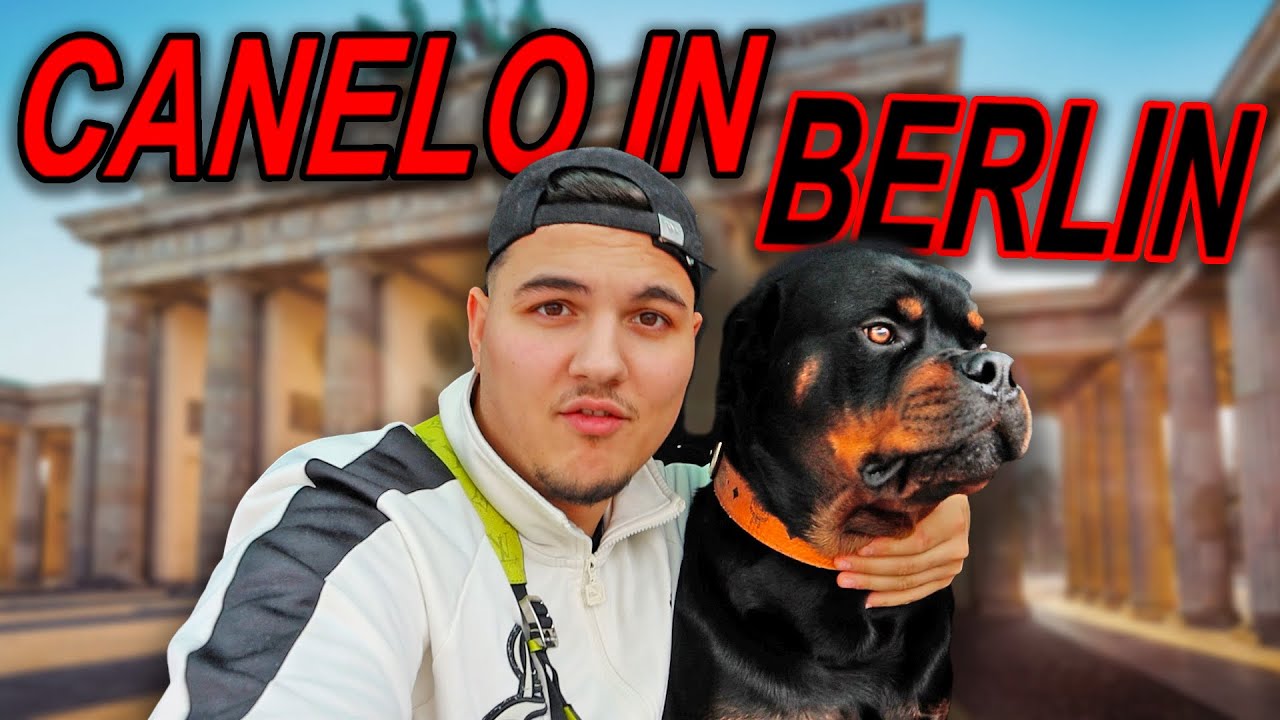 CANELO wird in Berlin belästigt..🤬‼️