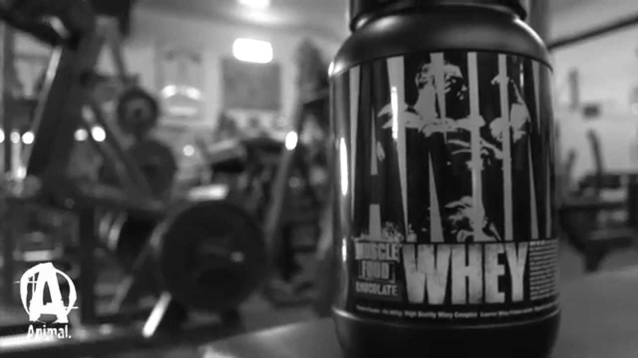 Animal Whey Featuring Andrey Malanichev