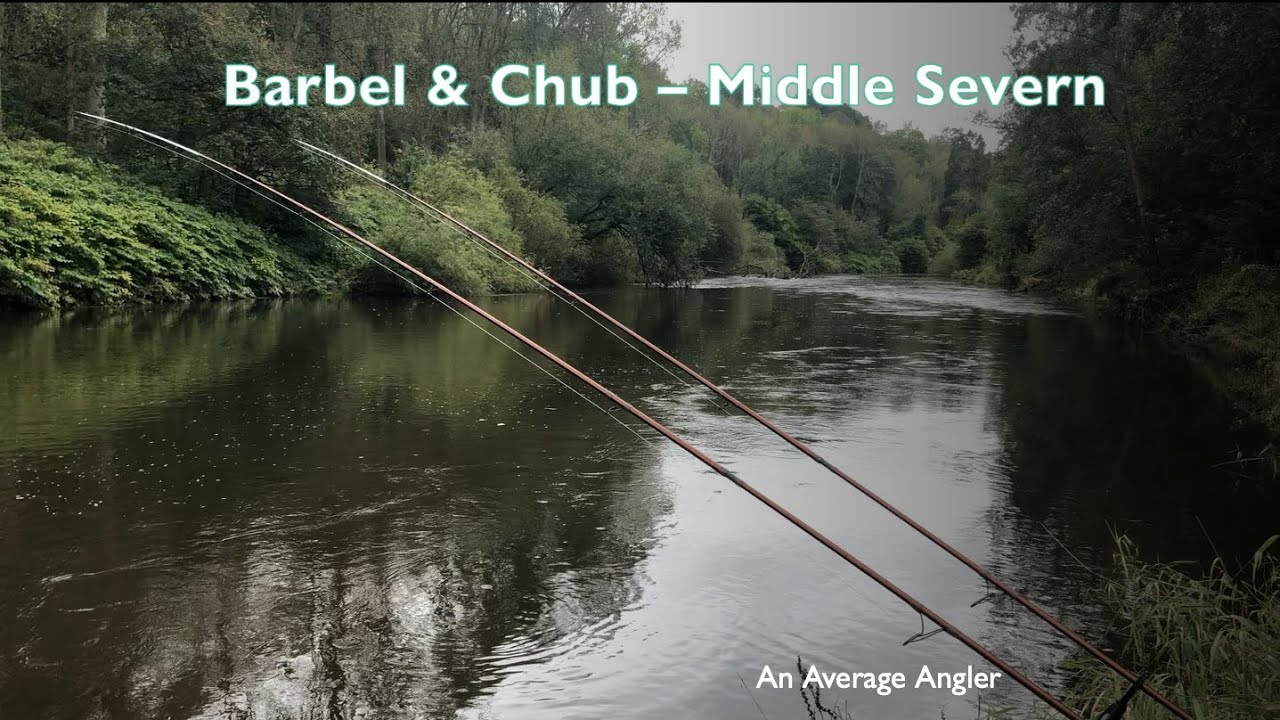 Barbel & Chub Fishing - Middle Severn
