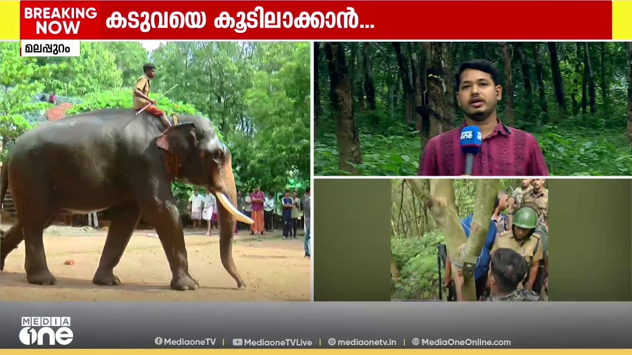 മലപ്പുറം കാളികാവിലെ നരഭോജി കടുവയെ പിടികൂടാനായി കൂട് സ്ഥാപിച്ചു | TIGER