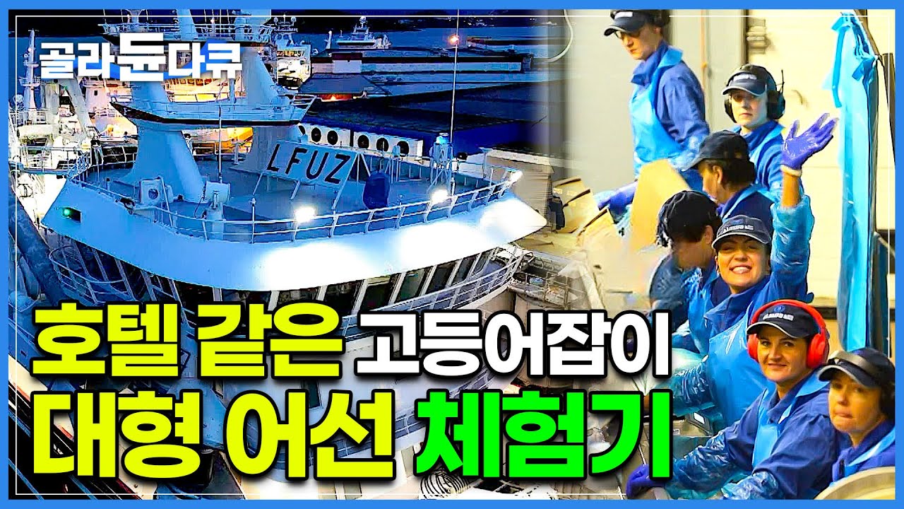 수준이 다르다! 호텔 크루즈 같은 노르웨이 대형 선박 체험하기┃바다 위에서 4박 5일 선진국 어부들이 사는 법┃1,000년 수산업 기술의 결정체┃고등어잡이┃세계테마기행┃#골라듄다큐