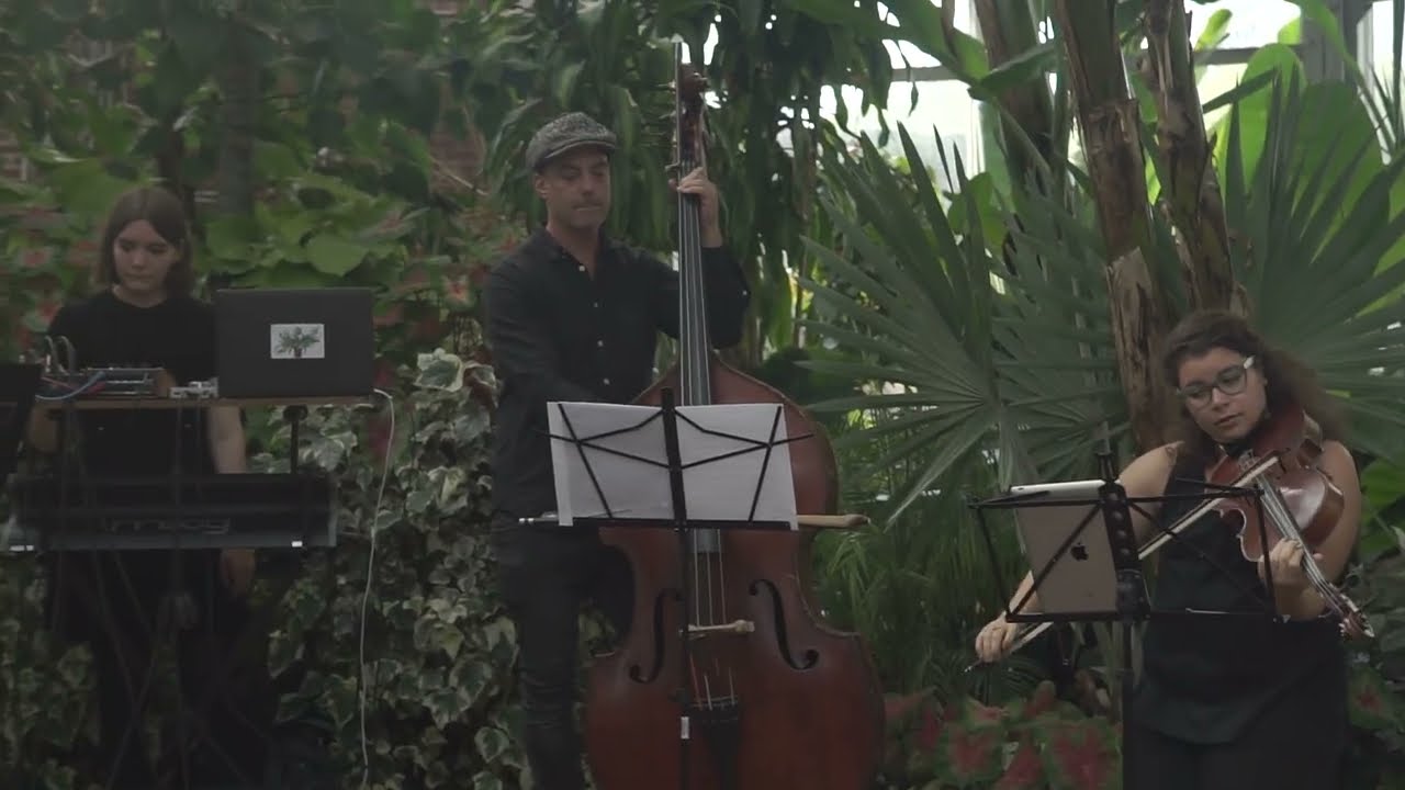 Castle If - Live at Allan Gardens (4/9/2017)