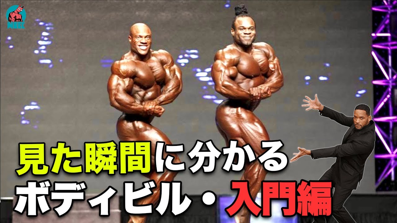 【10分でわかる】ボディビルの超初心者向け観戦ガイド