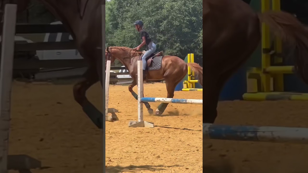 2 LEAD CHANGES?! #dclc #lacd #ledc #ccdl #cdlp #fypシ