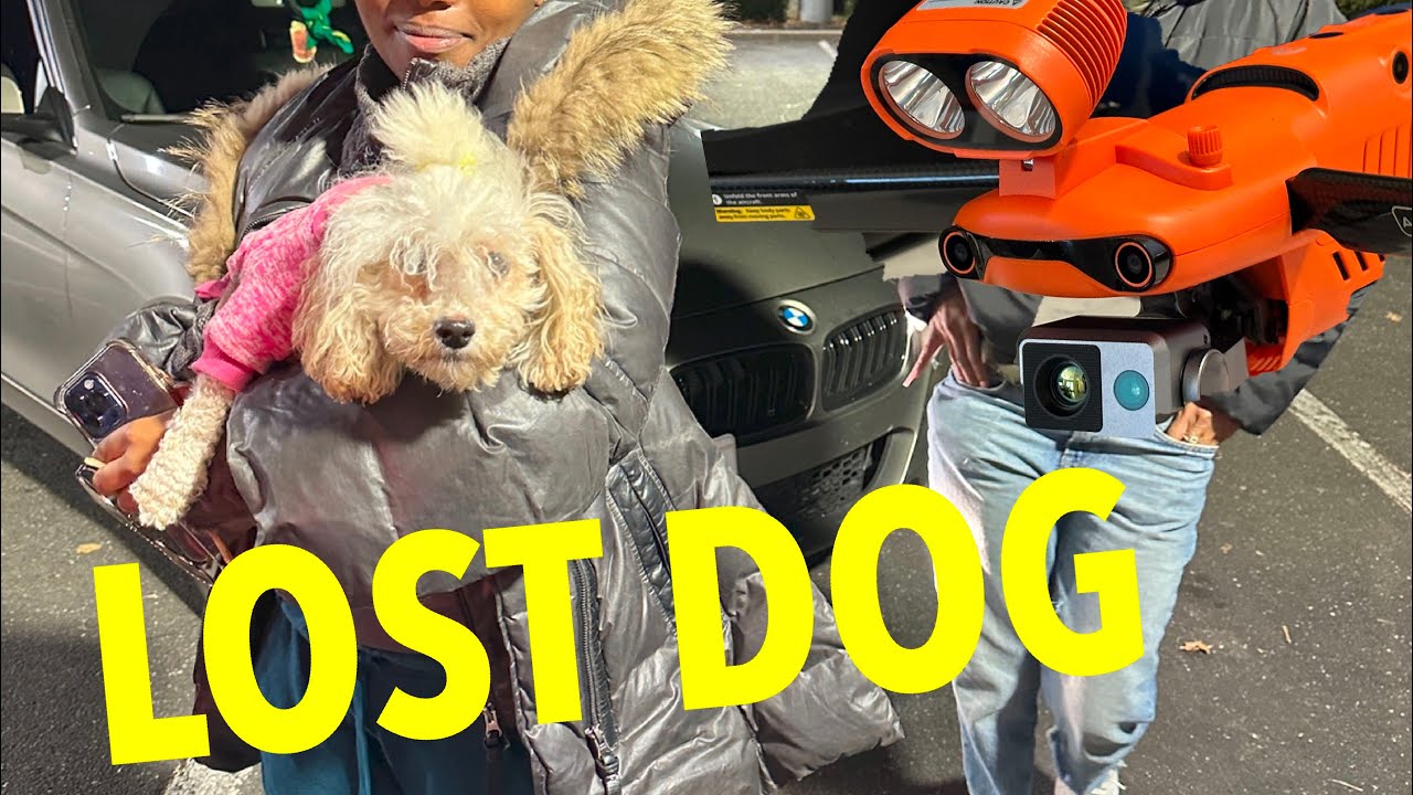 Lost Dog search & rescue with thermal drone!