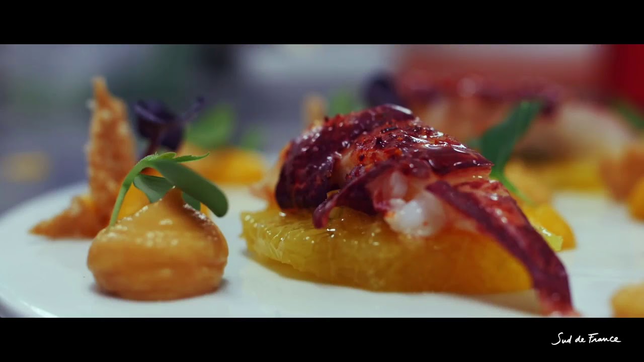 Destination Sud de France - 5 Best Videos of the Occitanie