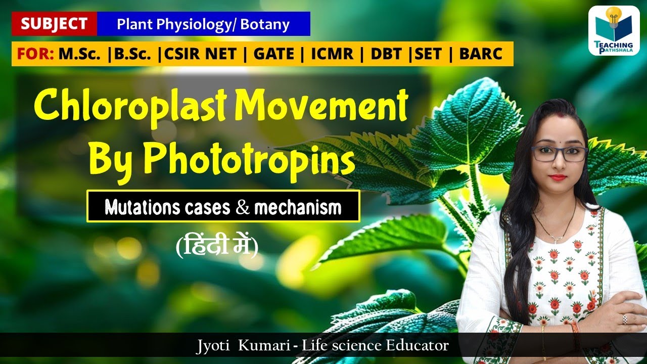 Chloroplast Movement by Phototropins & Mutation Cases || Plant Physiology || CSIR NET 2024