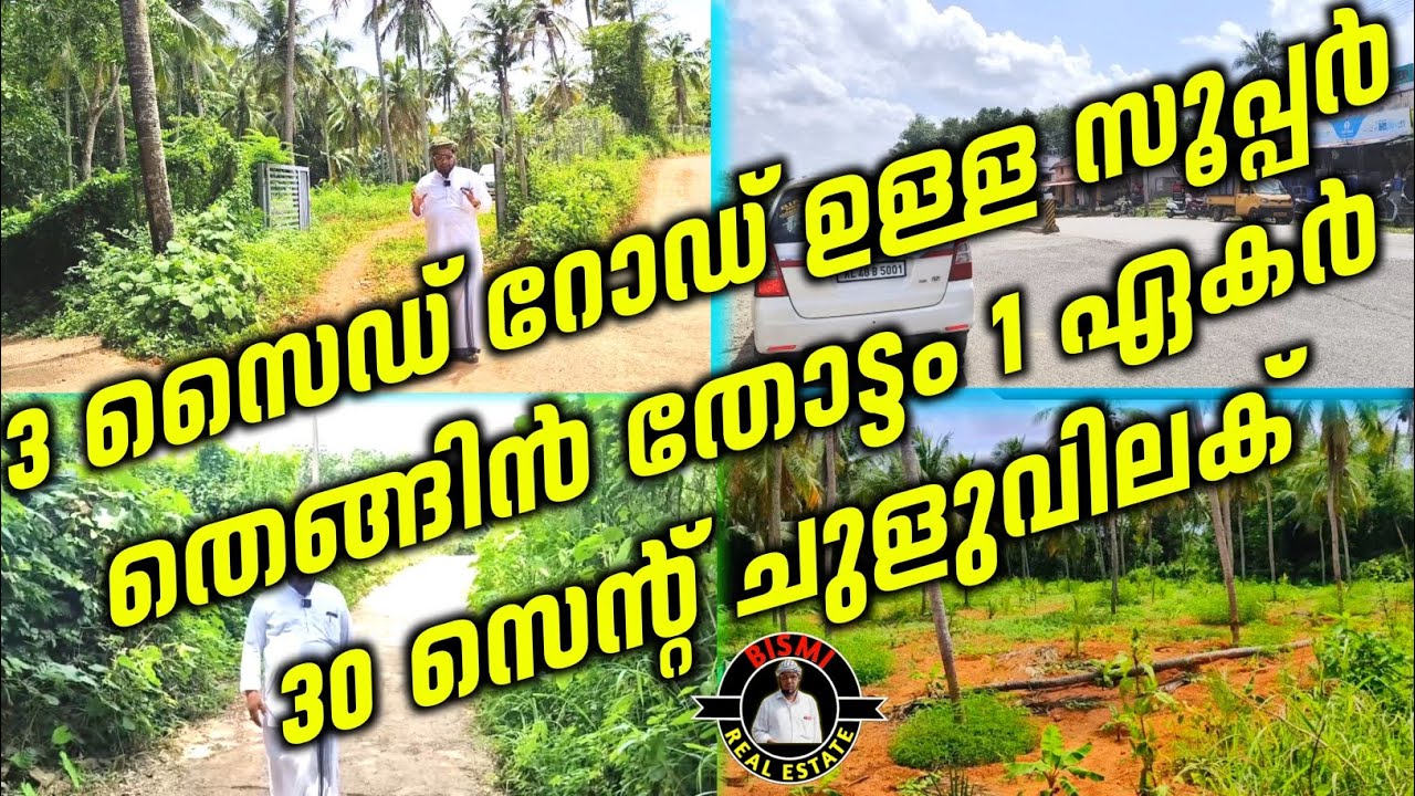 3 സൈഡ് റോഡ് ഉള്ള സൂപ്പർ തെങ്ങിൻ തോട്ടം 1 ഏകർ 30 സെന്റ് ചുളുവിലക് | Plotes For sale low price |