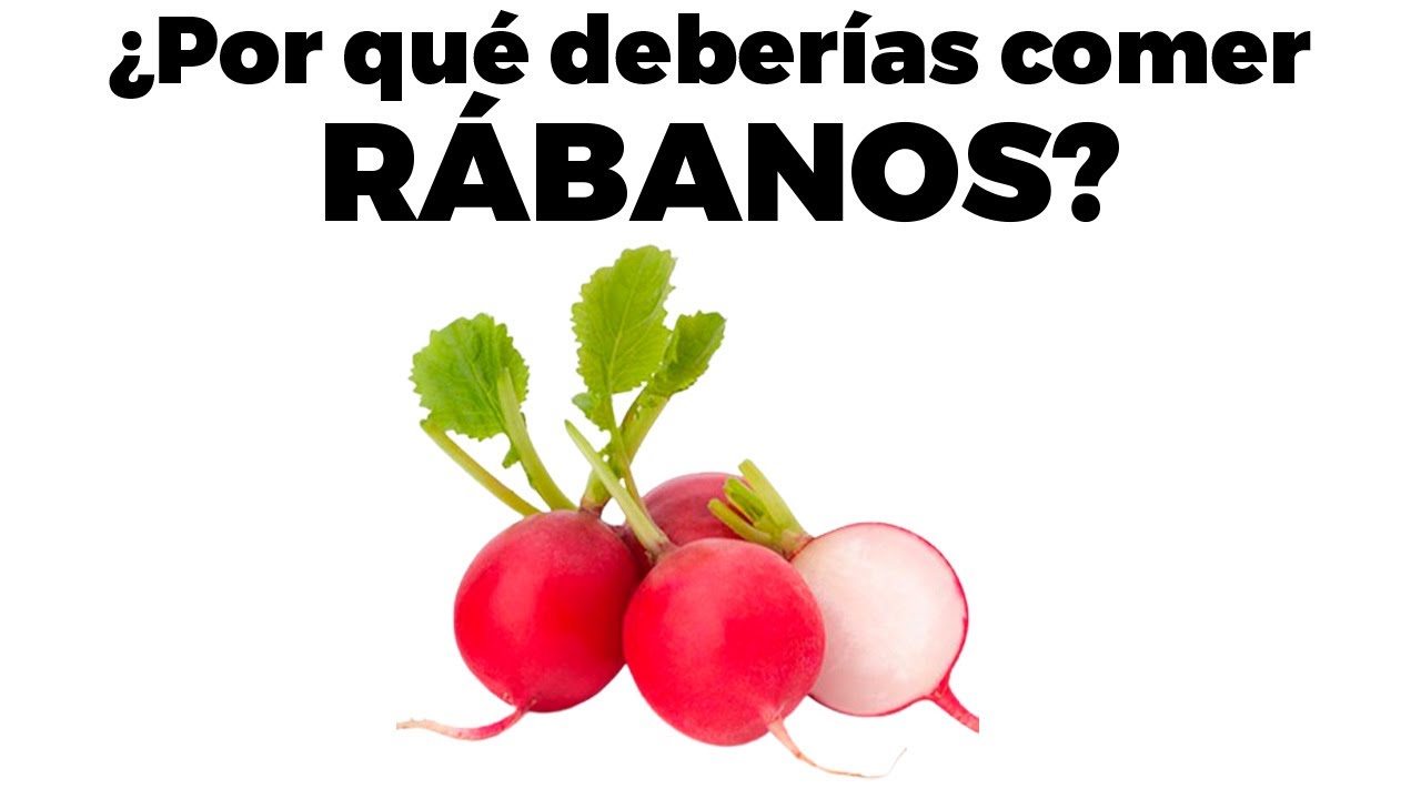 11 razones para comer r&aacute;banos todos los d&iacute;as y quien no debe comerlo