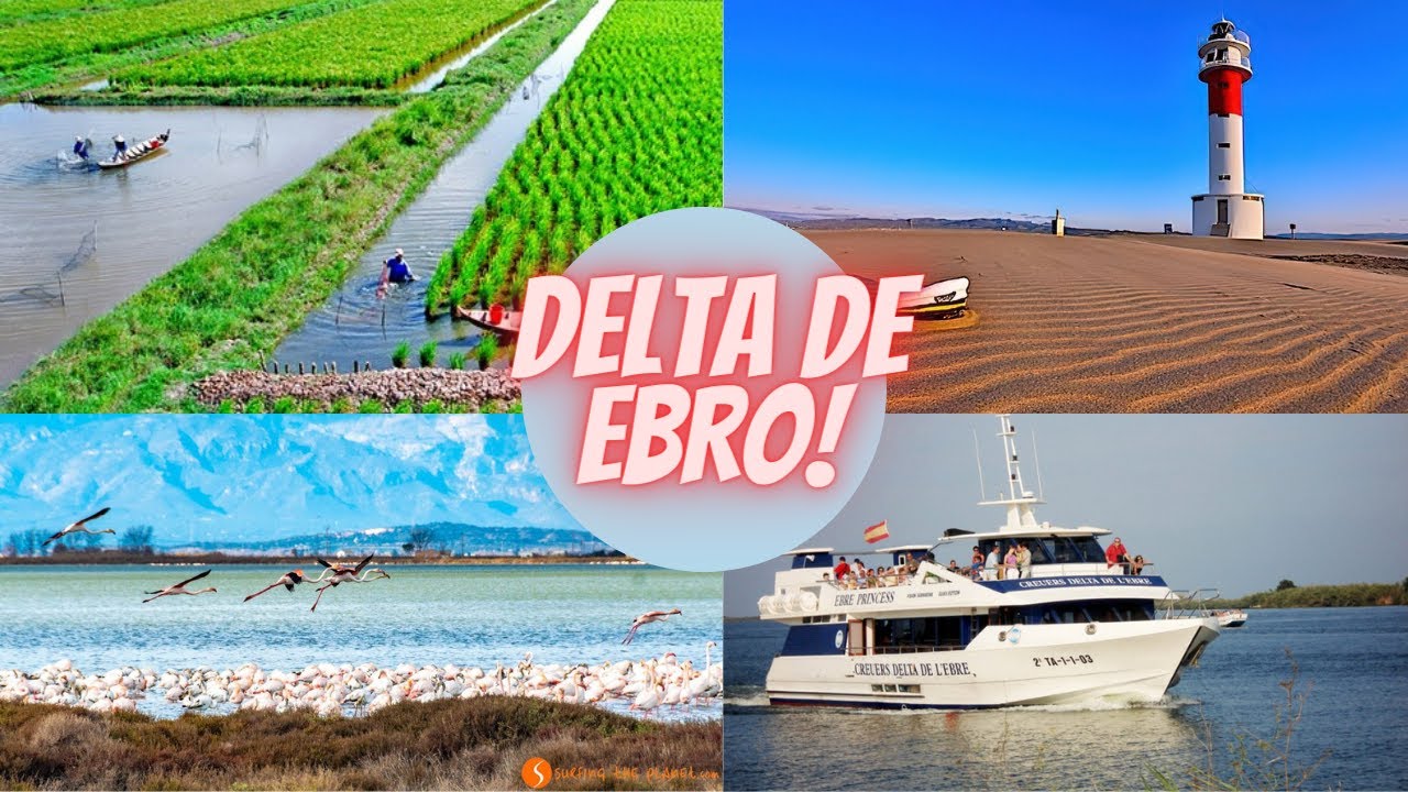 UNA MARAVILLA DE LA NATURALEZA 🏞  DELTA DE EBRO- QUE HACER Y DONDE COMER