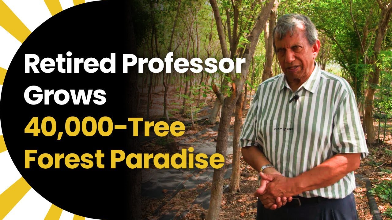 Retired Professor Grows 40,000-Tree Forest Paradise