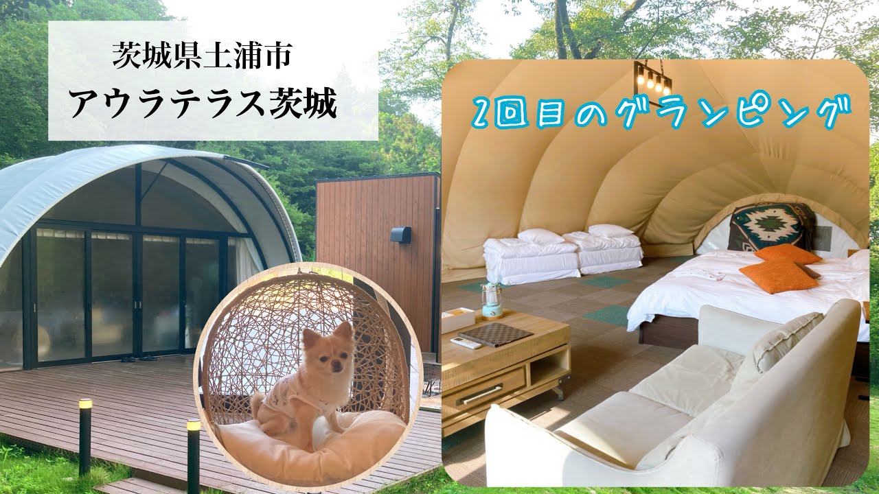 17【旅の思い出】グランピング in 茨城県土浦市　アウラテラス茨城 - #チワワ 3歳