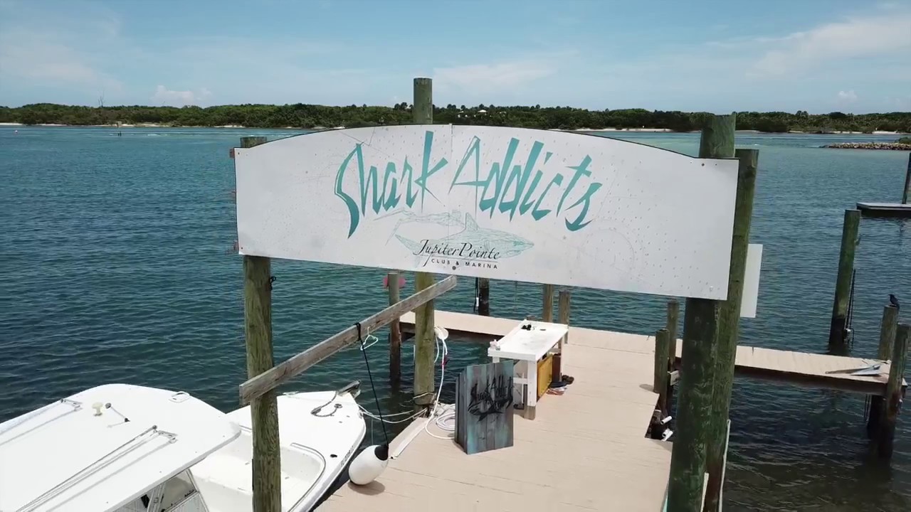 Jupiter Pointe Marina, Home of the Shark Addicts!