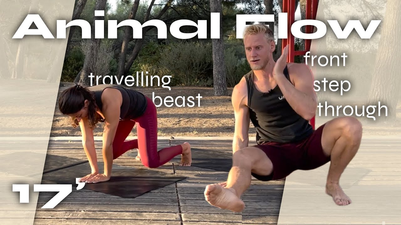 Animal Flow | du sport en s'amusant | Apprendre à mieux bouger et diminuer ses douleurs avec FUN
