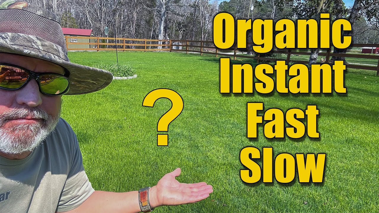 Spring Lawn Fertilizers - What to Use and Release Types