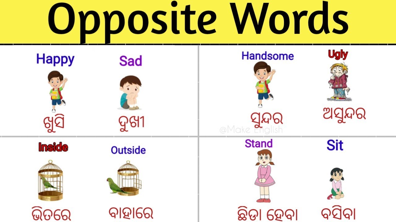 Opposite Words With Odia Meaning & Picture/Opposite Words/Daily Use Words With Odia Meaning/English
