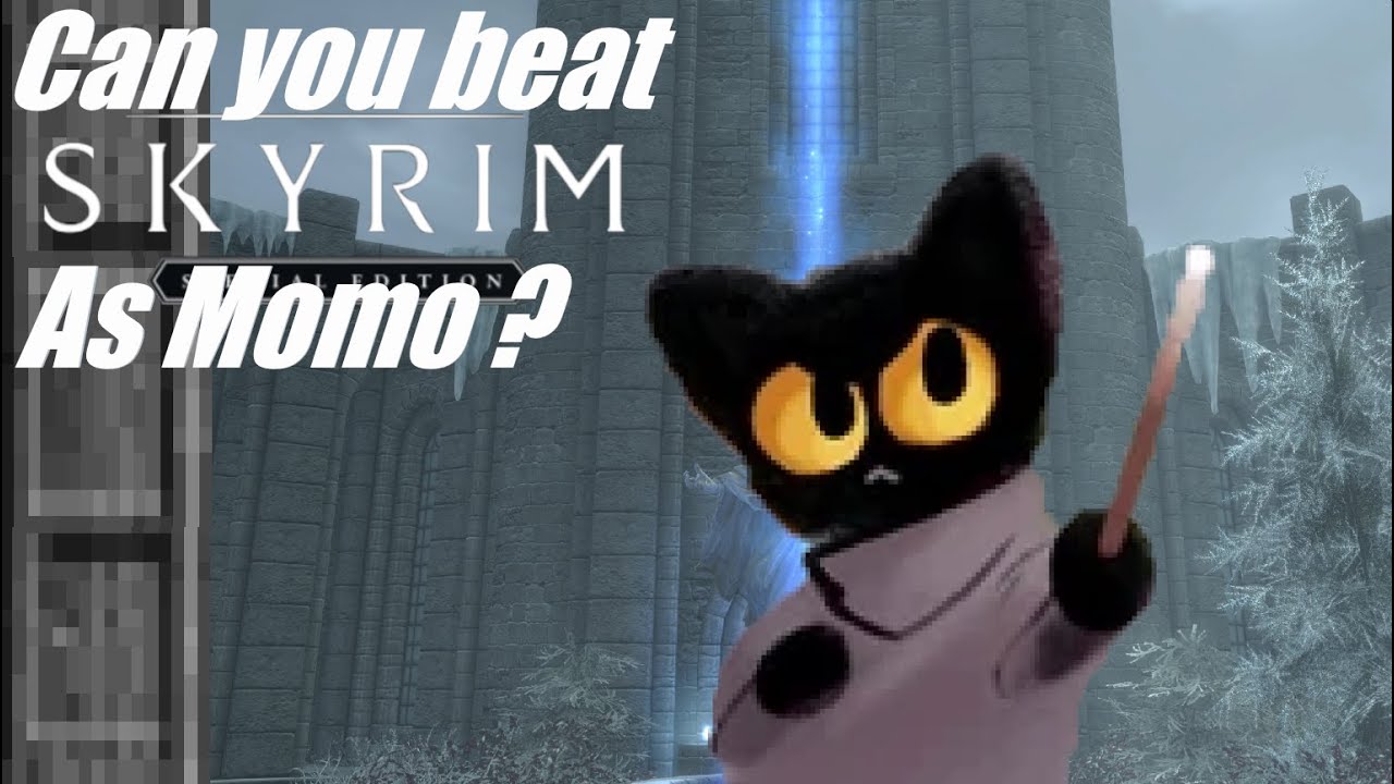 Can you beat Skyrim, as Momo the Cat?