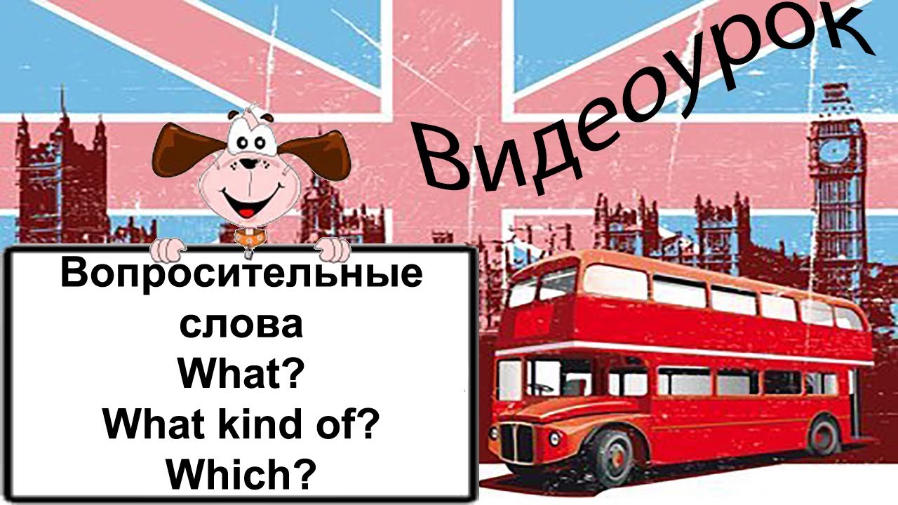 Видеоурок по английскому языку: Вопросительные слова What? What kind of? Which?