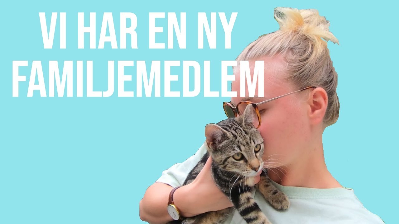 Avsnitt 5: Vi har en ny familjemedlem