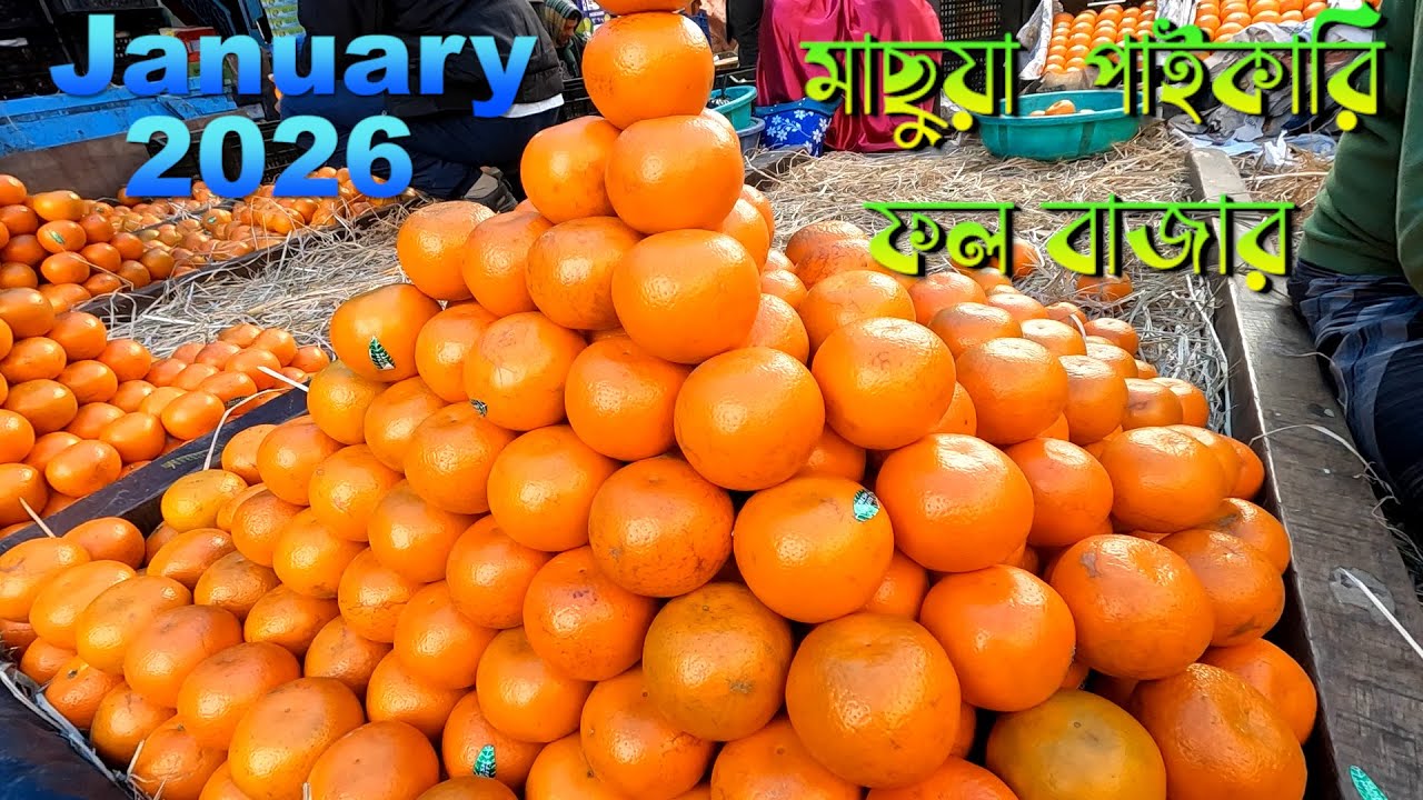 মাচুয়া পাইকারি ফলের বাজার জানুয়ারী ২০২৬ || ২০২৬ সালে কলকাতায় ফলের পাইকারি দাম || fruit market