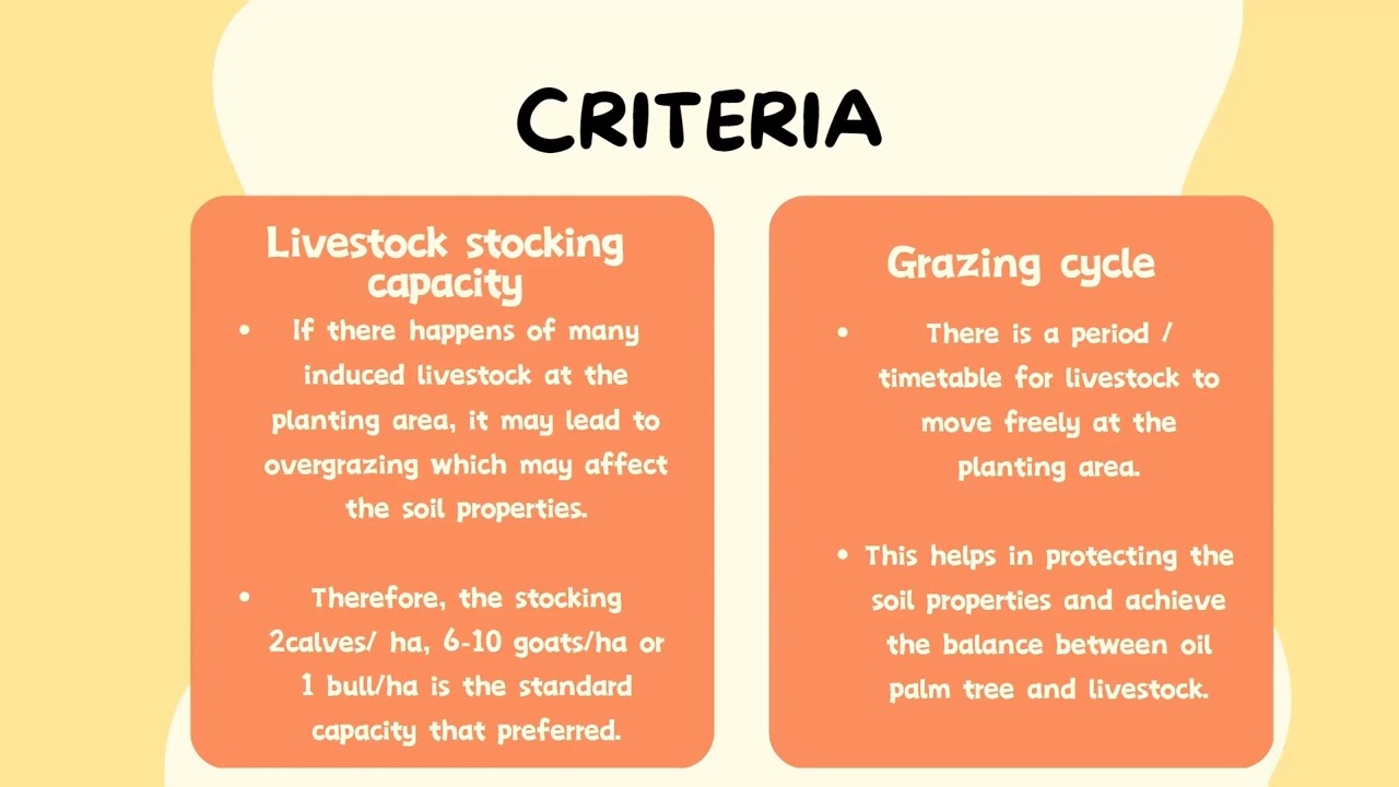 AHP2507: The Integraded Farming System Between Cattle and Oil Palm Plantation - Group 3