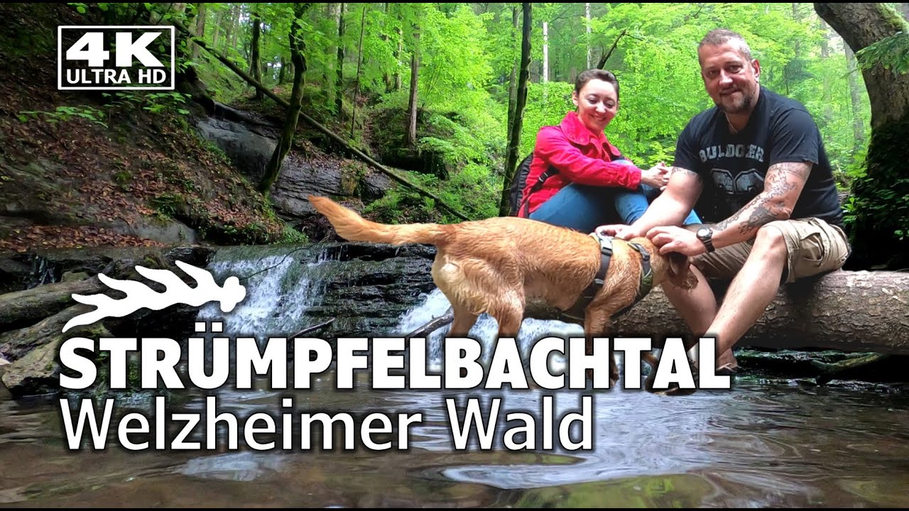 Das Strümpfelbachtal - Wilde Natur im Welzheimer Wald | Althütte | Wasserfälle