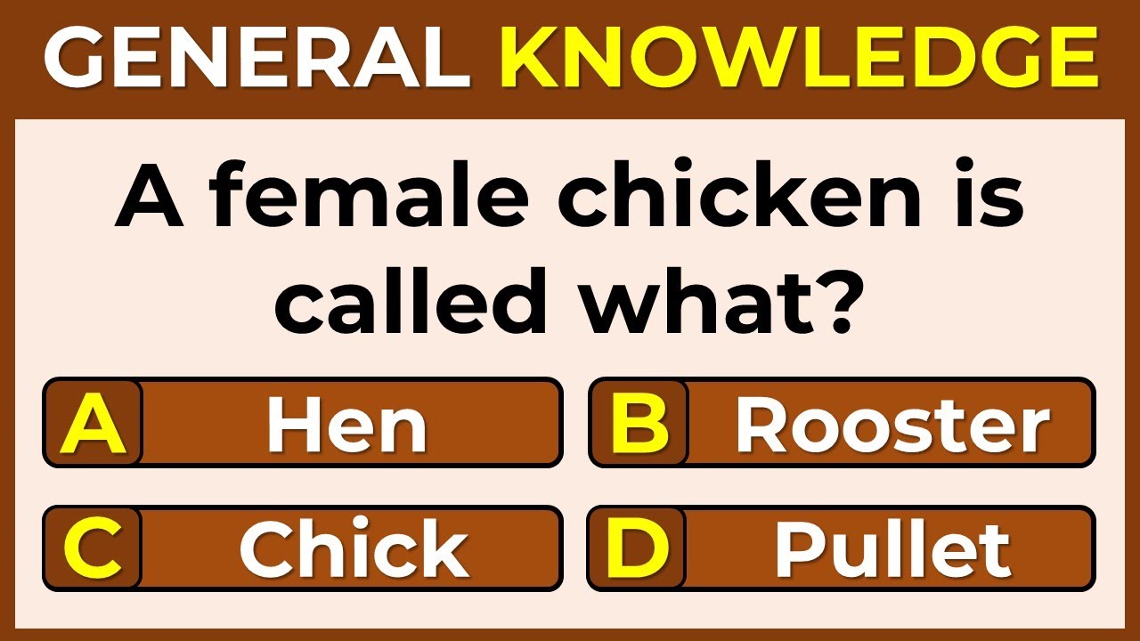How Smart Are You? | Take This 30-Question Quiz To Find Out | GK