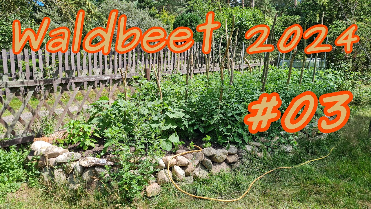 Mein Waldbeet 2024 - Teil 3 Exkursion & Gewinn