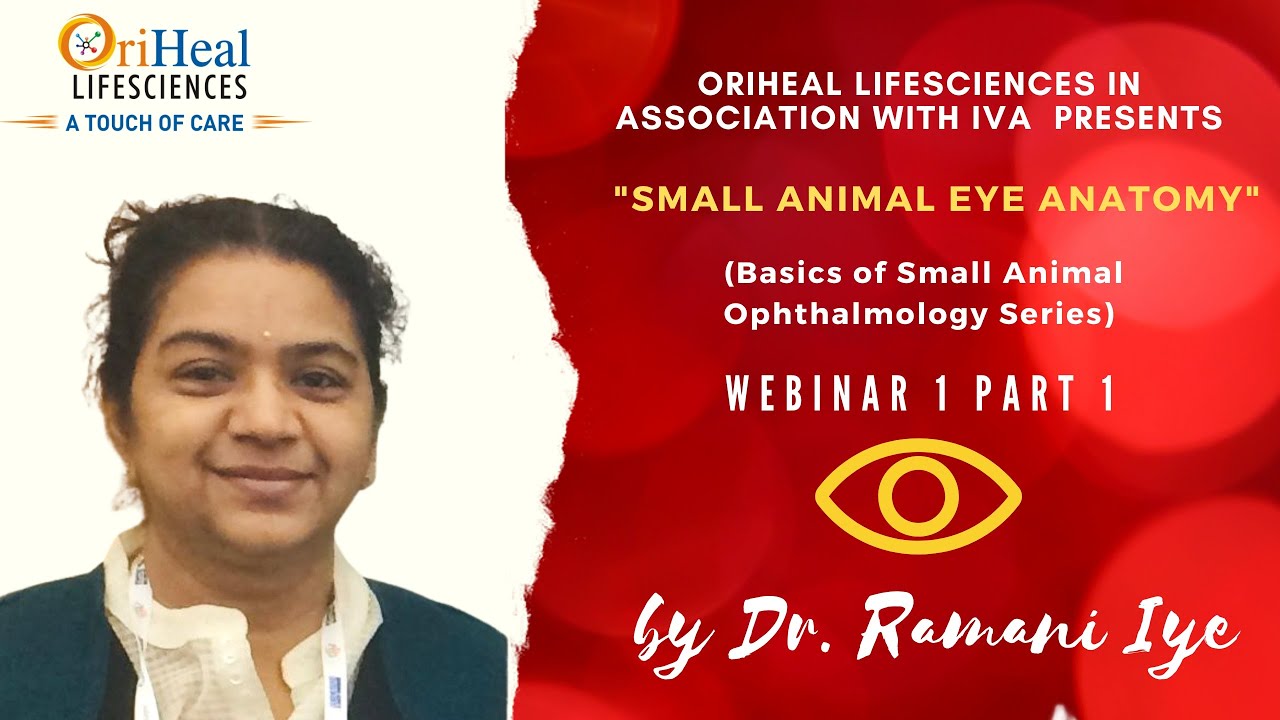 Часть 1: Анатомия глаз мелких животных (серия &laquo;Основы офтальмологии мелких животных&raquo;), д-р Рамани...