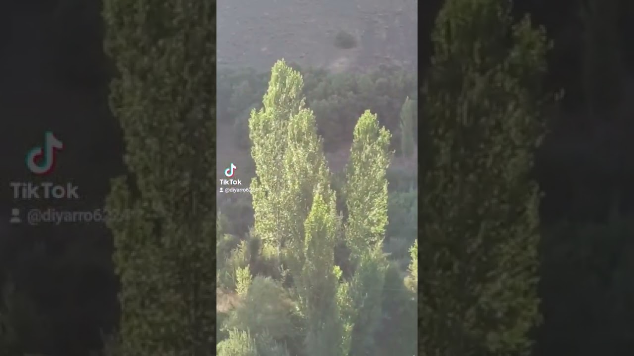 Erzincan Pelitli değirmendere köyü