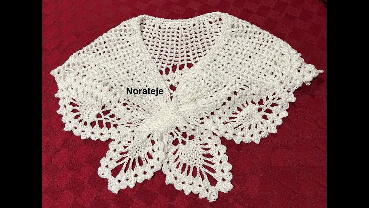 Estola de piñas a crochet 2 - 2