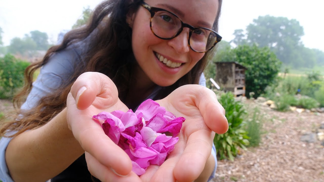 3 Ways to Eat Rose Petals