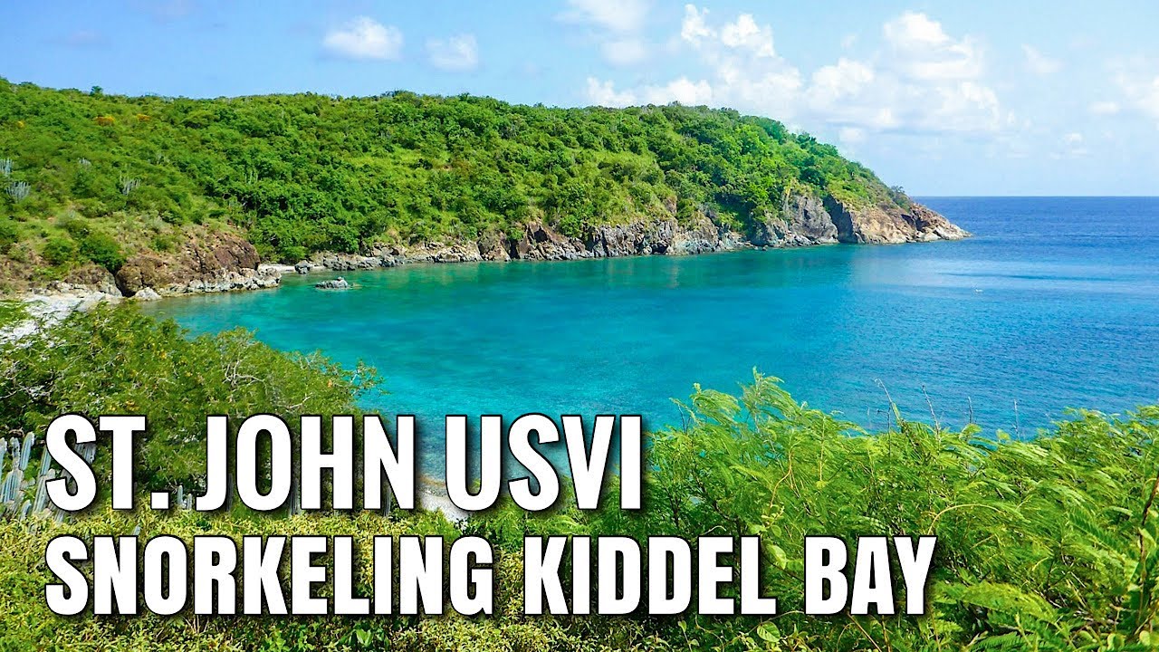 Snorkeling ST. JOHN, USVI Kiddel Bay with a Shark!