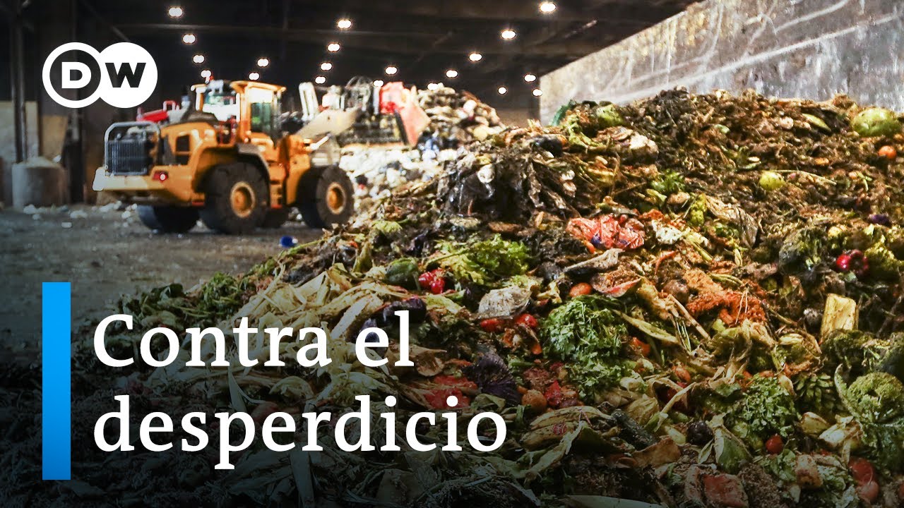 Sensores para no tirar la comida